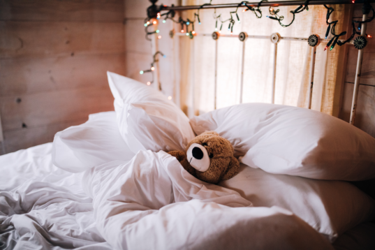 Teddy Bear Bed